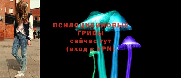дурь Нязепетровск
