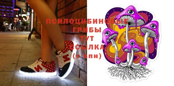 гидра Аркадак